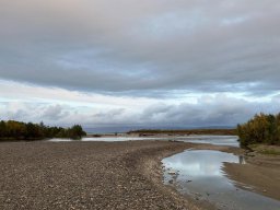 Indre Billefjord - Stabbursdalen Resort
