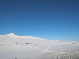 Saltfjell