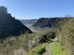 St. Goar - Camping Loreleyblick