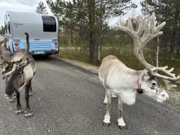 Skandinavien - Nordkapp - 2025