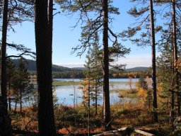 Skandinavien - Nordkapp - 2025