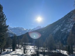 Pontresina - Camping Morteratsch